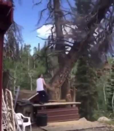 Timber…