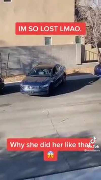 Parking a car level 99999