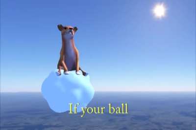 Dog of Wisdom