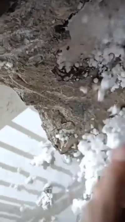 That seems safe...