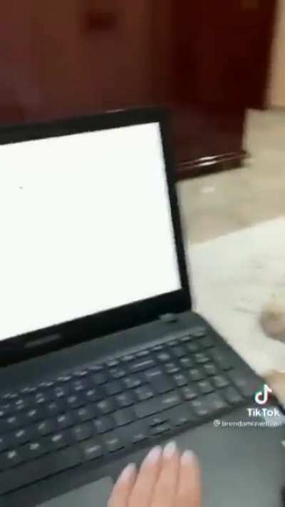 Ela ficou brava