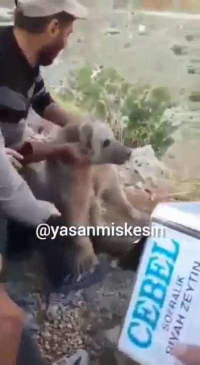 Saving a trapped bear