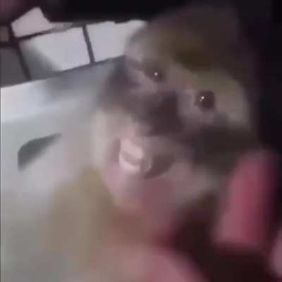 Mono