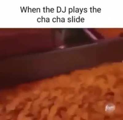 Cha cha