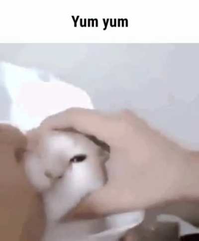 Yum yum