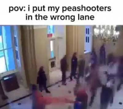 idiot