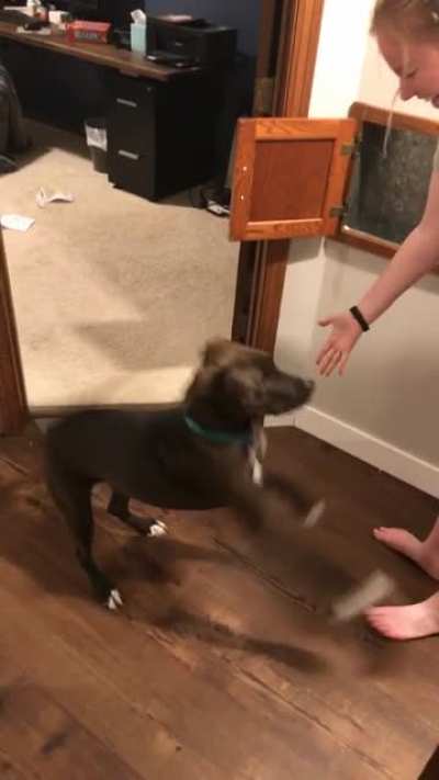 Dog didn’t know her mom is a magician.