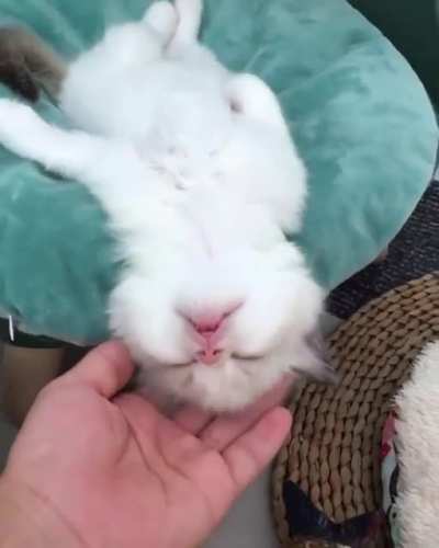 CutiePie <3
