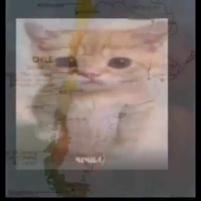 :'(