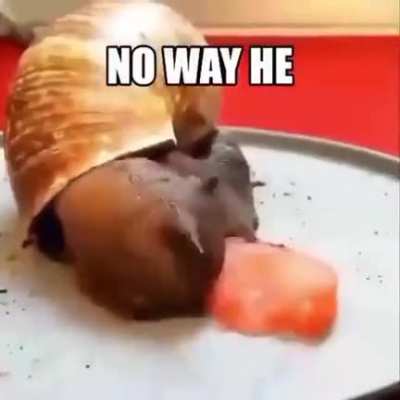 ok this got sent to me what does it mean