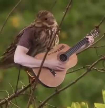 Birds With Arms