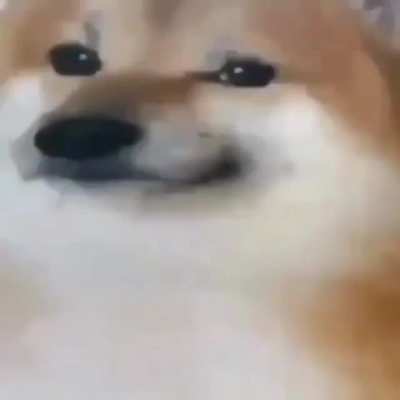 Yes