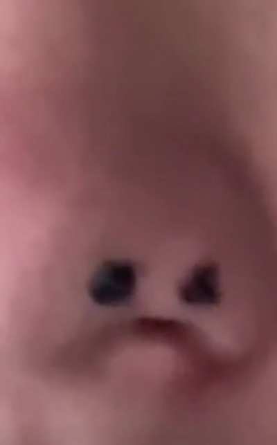 Siu