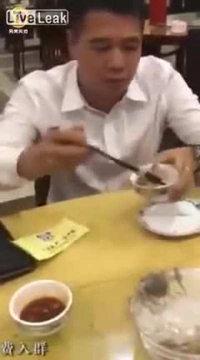 Dinner time bois!