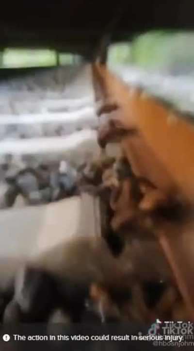 Bosnian TikToker arrested and criminal charges will be filed for posts where he puts objects on train tracks, said he would no longer deal with it and called on others to do so