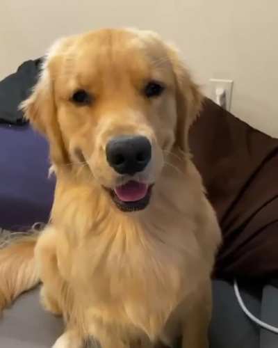 Head scratches