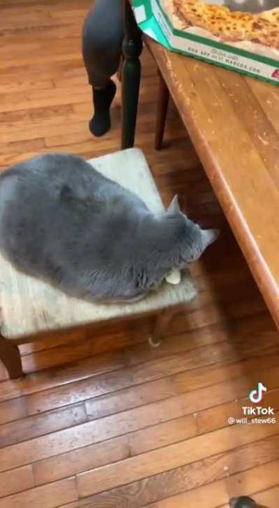 cheezburger?