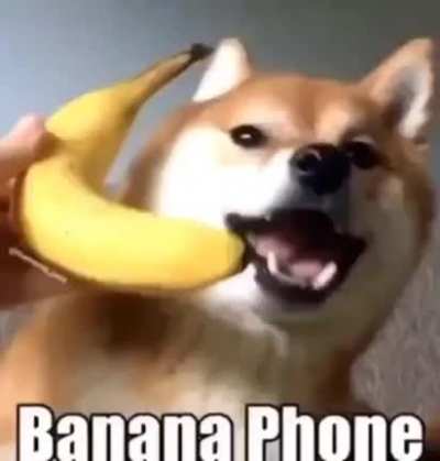 Banana fone :D