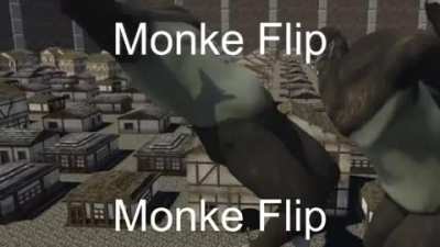 titan flip