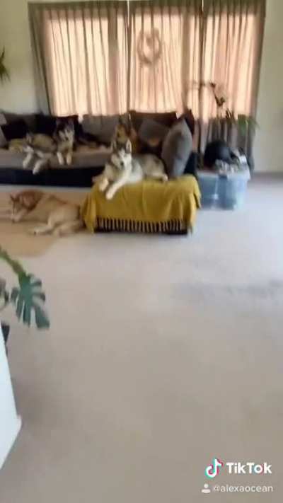 Her boyfriends' reaction is priceless