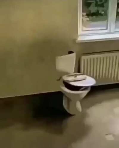 Gardaş ne korkuyon çıkmicak bişey