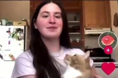 based kitty