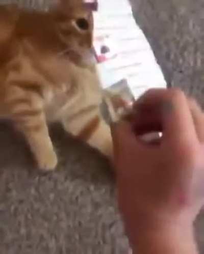how dare you!!!!!