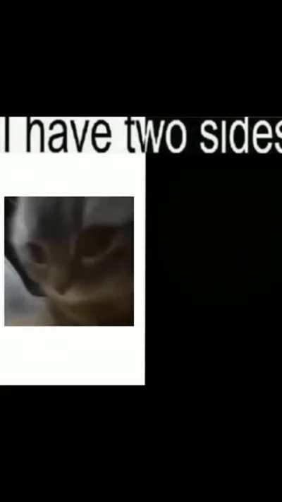 Dubi