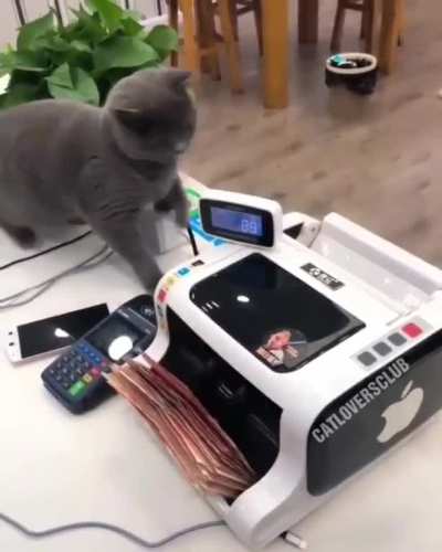 touch tha money