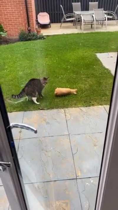 Target neutralized