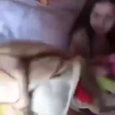 No le pegeis a vuestras hermanas