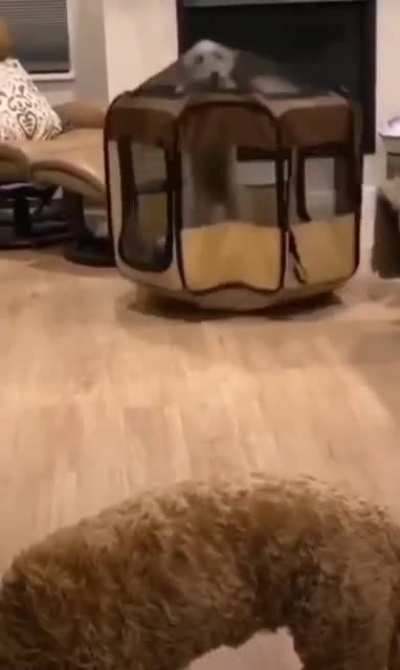 She was in 