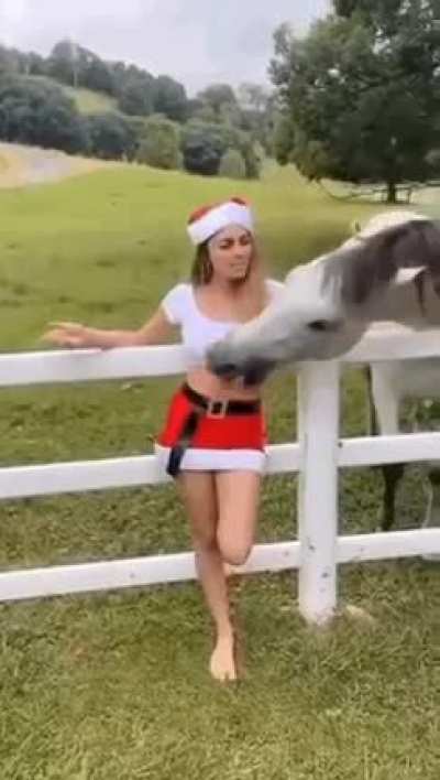A Christmas snack