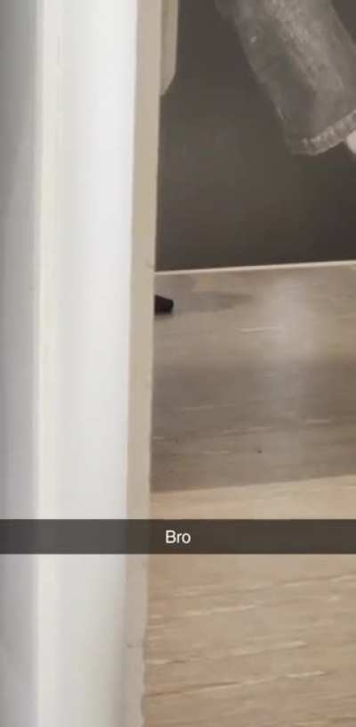 went to work hungover and saw this happening under the door of the changeroom