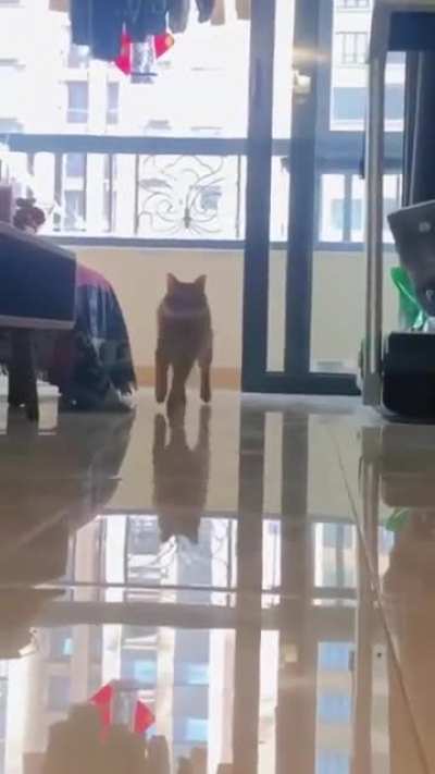 Catwalk of the year