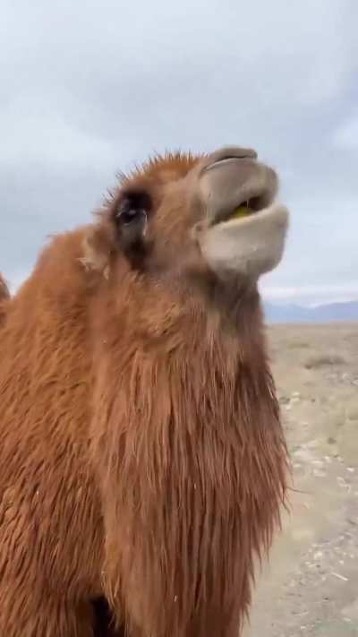 Maybe maybe maybe
