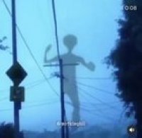 Sirenhead