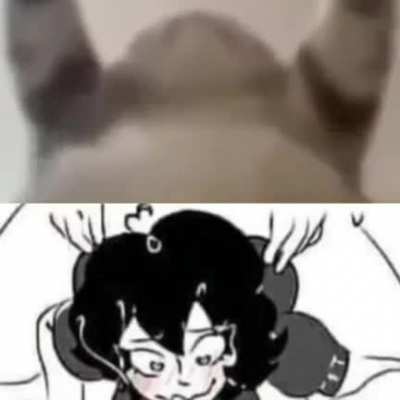 Wordington Cat