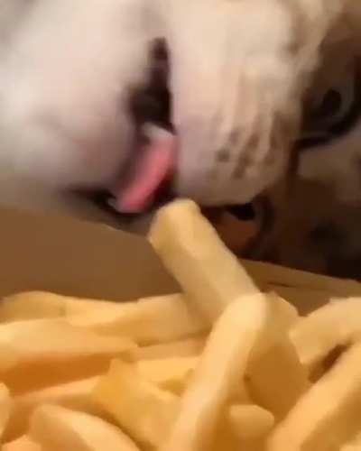 Lunchtime