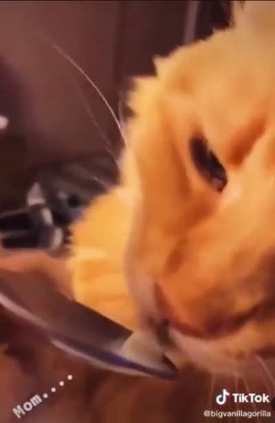 Found this on r/animals being deeps and couldn’t help myself.