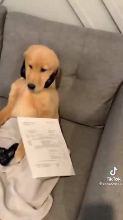 🤓