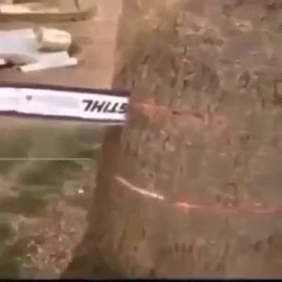 O titulo morreu pra tempestade