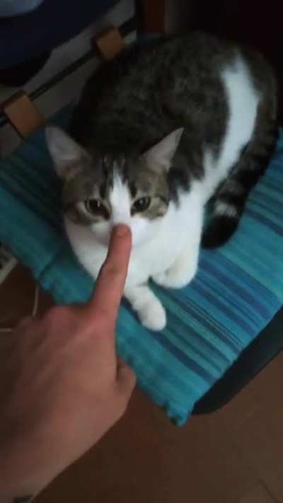 So cute