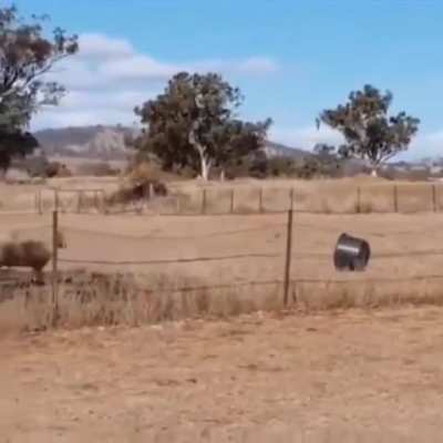 Street fight!