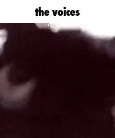 The voices… they speak to me…