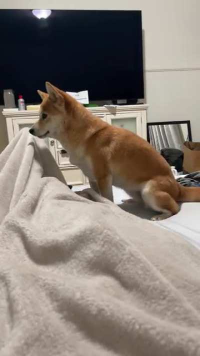 Doge .69