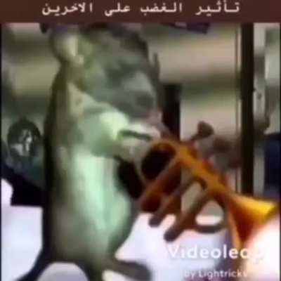 تلت في حياتي 😔✌️