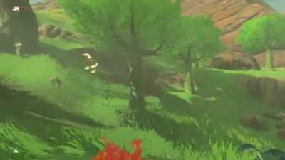 I found this gem when cleaning out my screenshots, no wonder I’ve always hated the ostriches