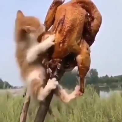 Yam Yam