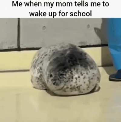 Just 5 more minutes Mom, please!